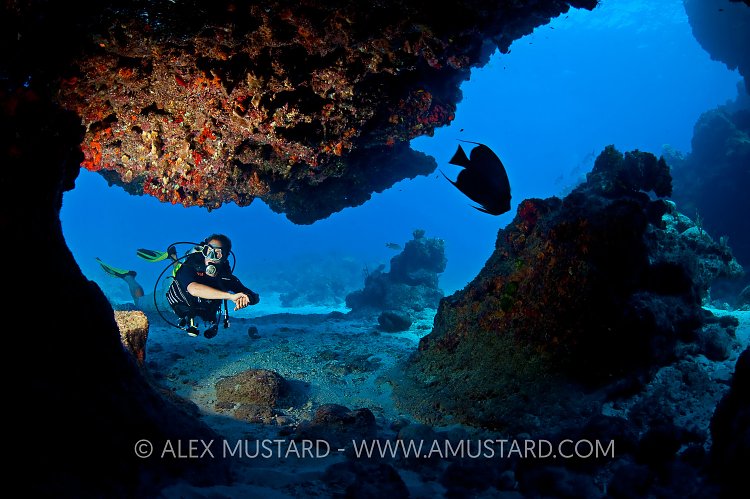 Diver in coral cavern. Cayman Islands