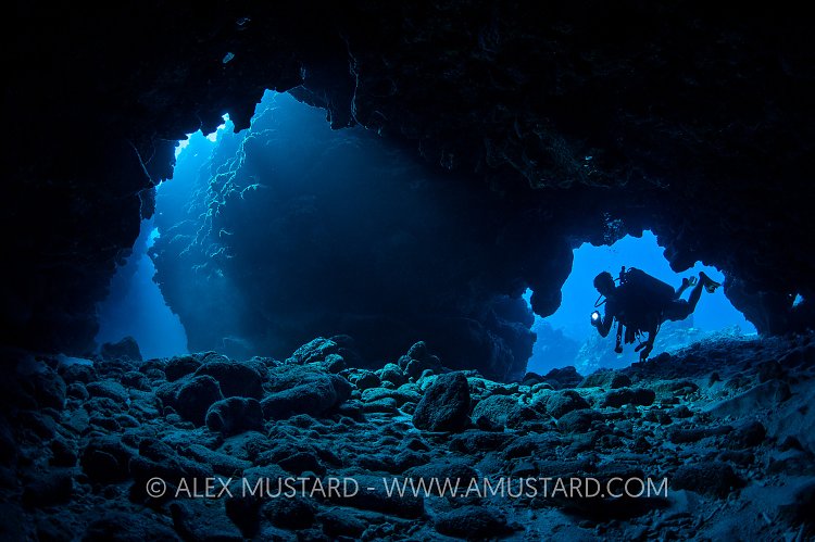 Diver In Caves. Cayman Islands