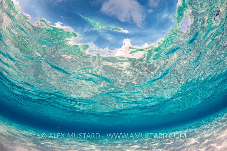 Shallow Blue Water. Cayman Islands