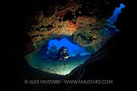 Diver in coral cavern. Grand Cayman.