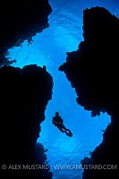 A diver (Katie Wand) swims in the blue above a coral reef in silhouette. Iron Shore Gardens, East End, Grand Cayman, Cayman Islands. British West Indies. Caribbean Sea.