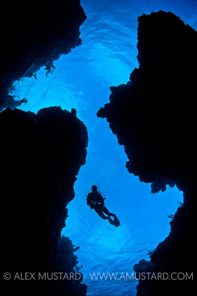 A diver (Katie Wand) swims in the blue above a coral reef in silhouette. Iron Shore Gardens, East End, Grand Cayman, Cayman Islands. British West Indies. Caribbean Sea.