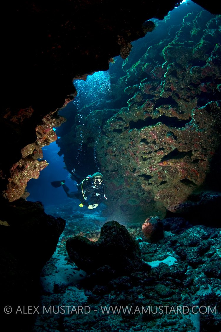 Diver in cave. Cayman Islands