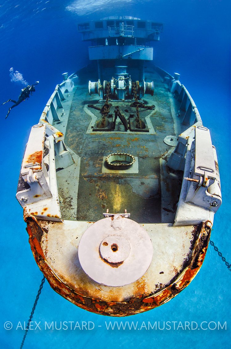 Kittiwake Bow With Diver. Cayman Islands
