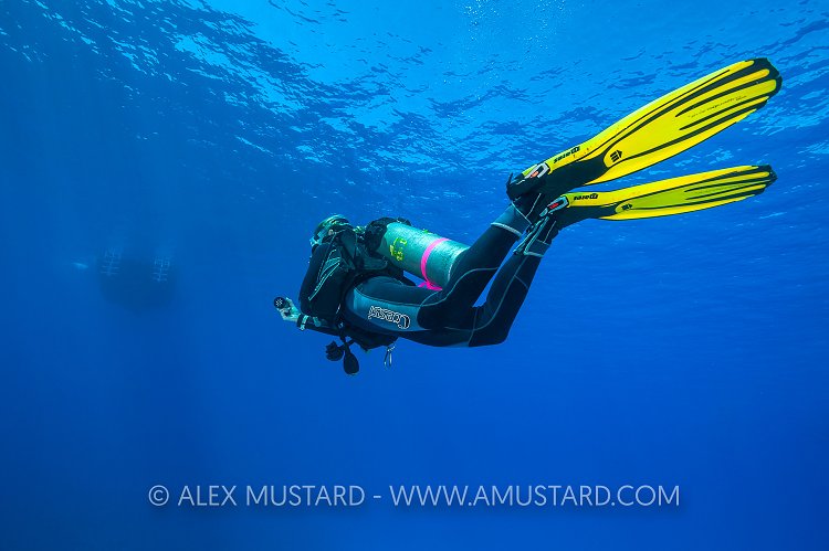 End Of The Dive. Cayman Islands