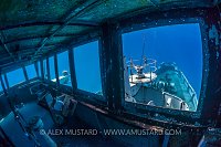 View From The Top. Cayman Islands
