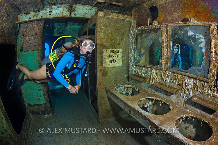 Bathroom Diver. Cayman Islands