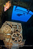 Laihe On Wreck. Cayman Islands