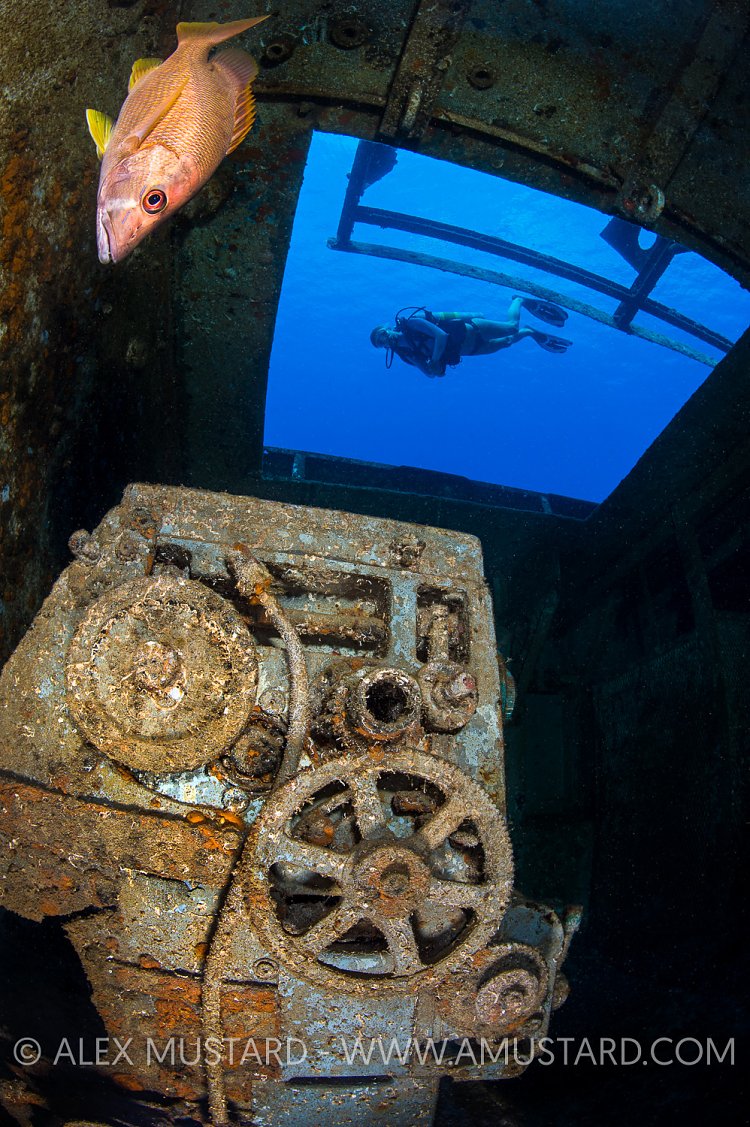 Laihe On Wreck. Cayman Islands