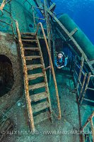 Diver Explores Wreck. Cayman Islands