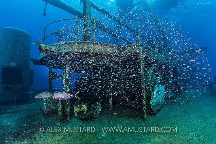 Wreck Hunt. Cayman Islands.