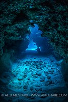 Coral Cavern. Cayman Islands.