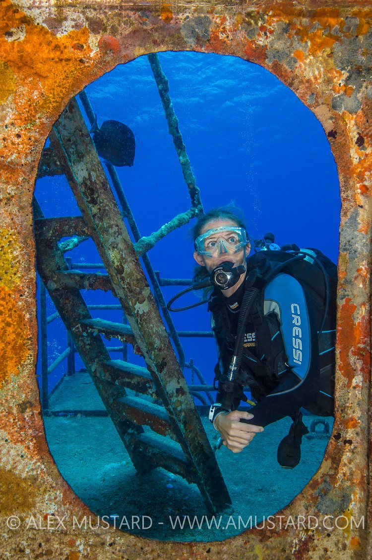Diver On Wreck. Cayman Islands