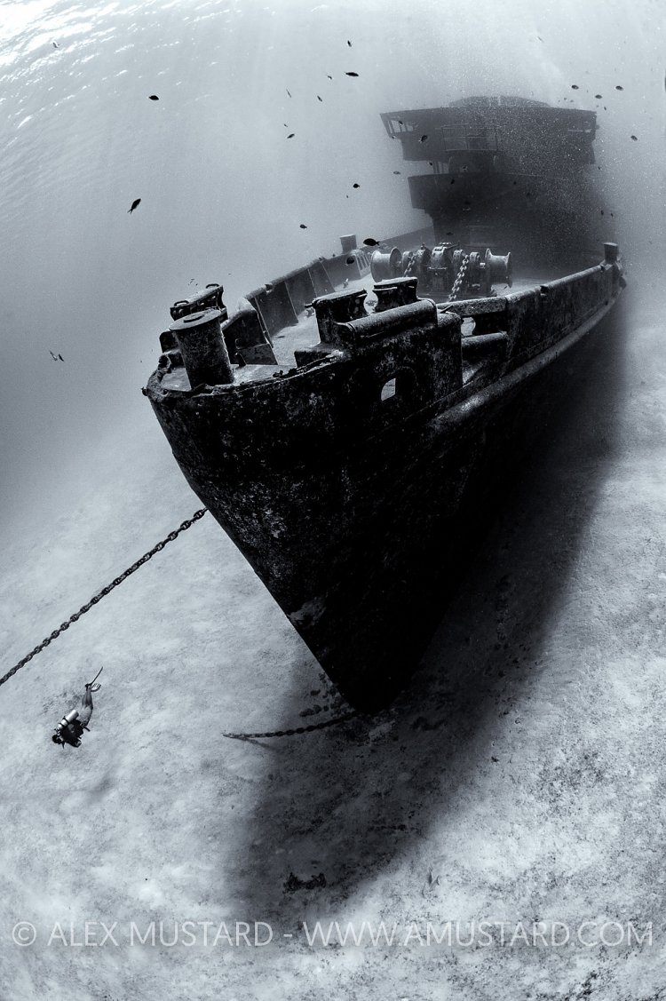 Kittiwake Bow With Diver. Cayman Islands