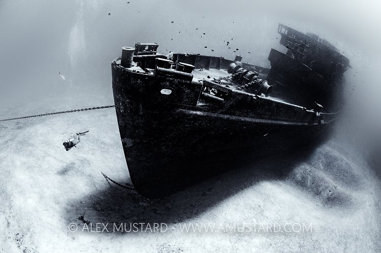 Bow Of The Kittiwake. Cayman Islands
