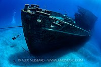 Kittiwake Bow With Diver. Cayman Islands