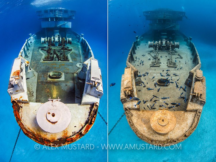 Kittiwake Bow Over Time. Cayman Islands