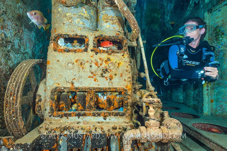 Compressor In Hold. Grand Cayman