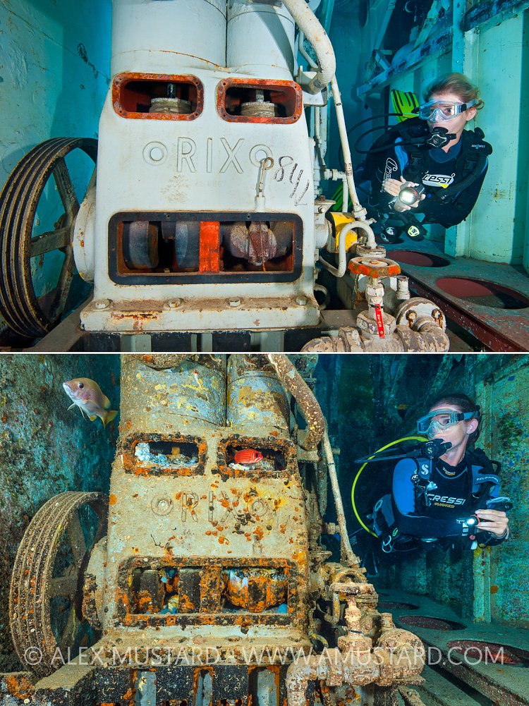 Passage Of Time. Cayman Islands