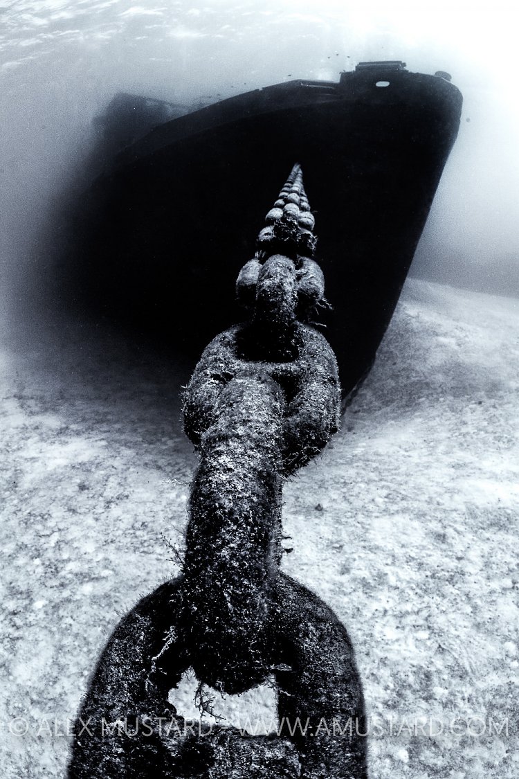 Kittiwake Bow. Cayman Islands