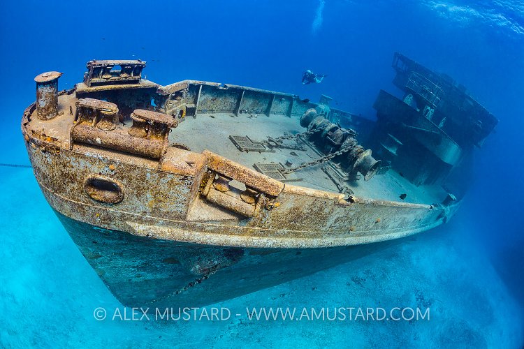 Bow Of The Kittiwake. Cayman Islands