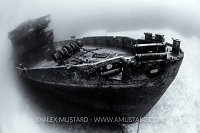 Bow Of The Kittiwake. Cayman Islands