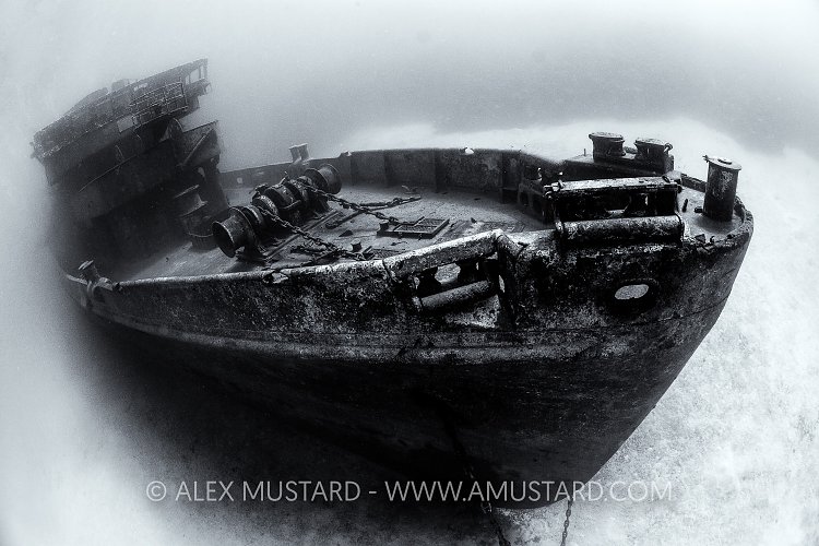 Bow Of The Kittiwake. Cayman Islands