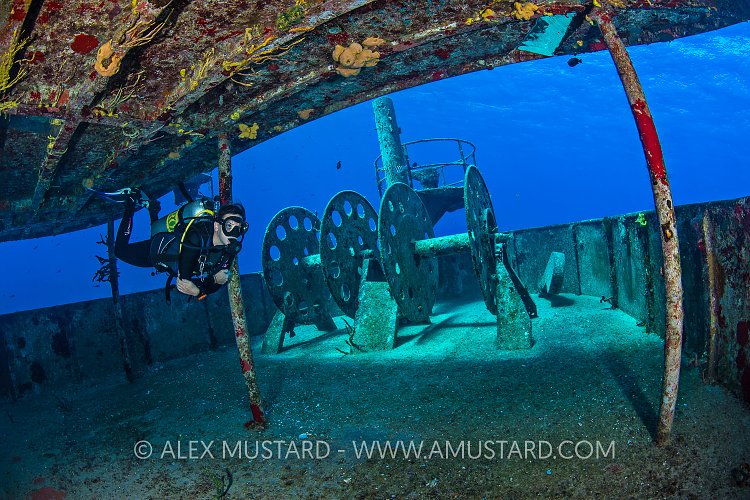 Diver Explores Wreck. Cayman Islands