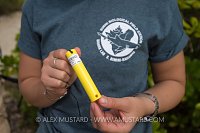 Acoustic Shark Tag. Bahamas