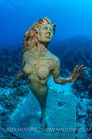 Mermaid Statue, Cayman Islands