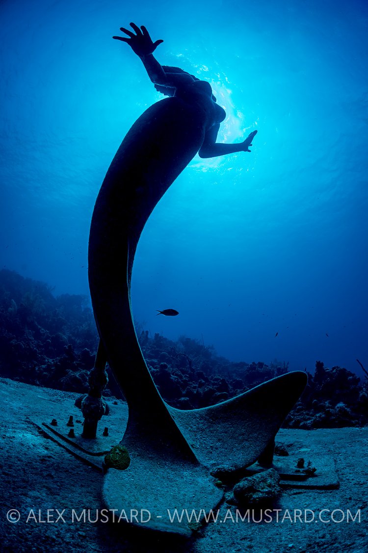 Mermaid Statue, Cayman Islands