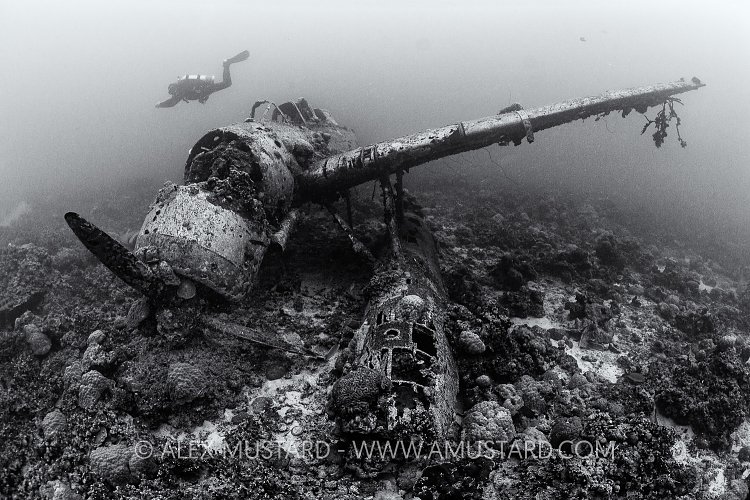 Japanese Seaplane Wreck. Palau