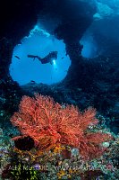 Boo Windows Scene. Indonesia