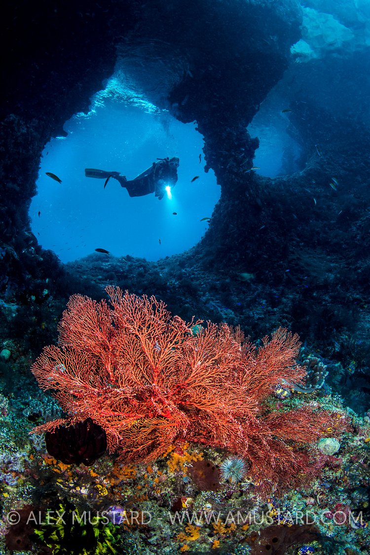 Boo Windows Scene. Indonesia