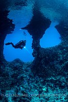 Boo Windows Diver. Indonesia