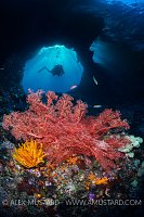 Boo Windows Scene. Indonesia