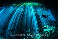 Diver In Sun Beams In Cenote. Mexico