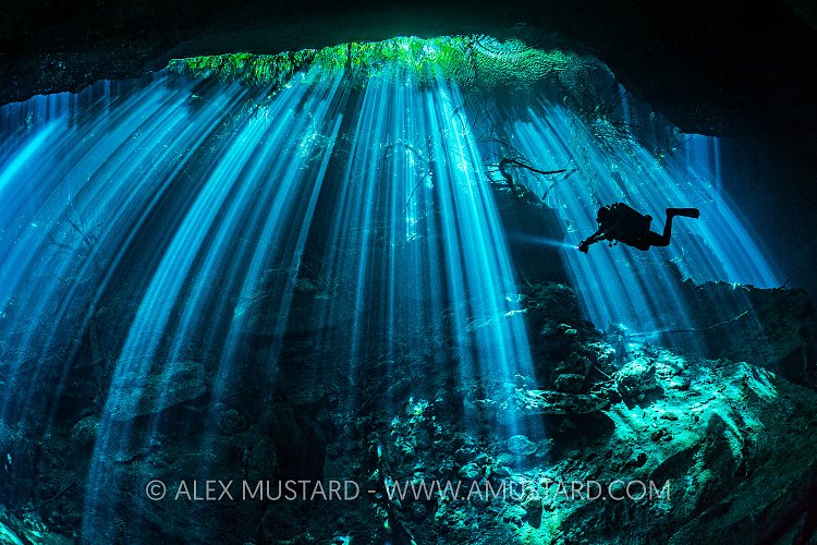 Diver In Sun Beams In Cenote. Mexico