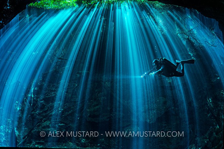 Diver In Sun Beams In Cenote. Mexico