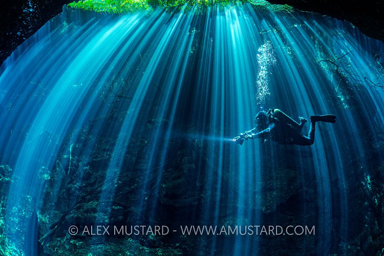 Diver In Sun Beams In Cenote. Mexico