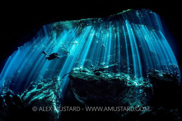 Diver In Sun Beams In Cenote. Mexico
