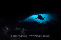 Diver In Cavern. Mexico