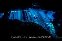 Cenote Divers. Mexico