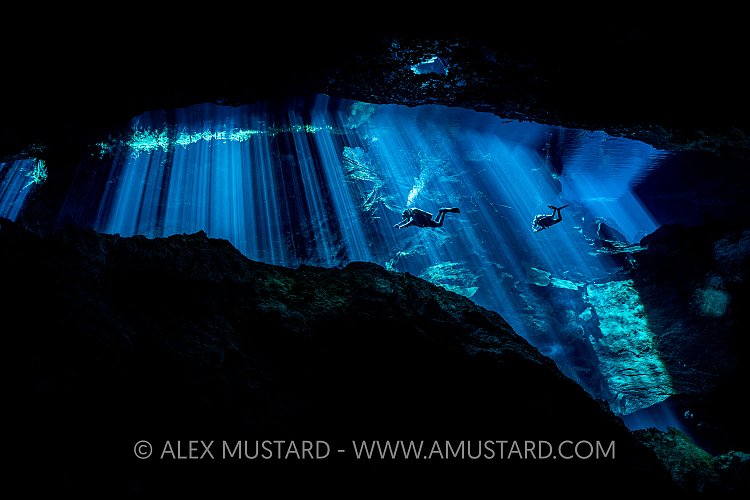 Cenote Divers. Mexico