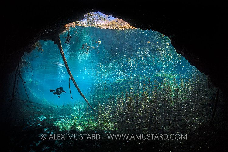 Carwash Cenote. Mexico