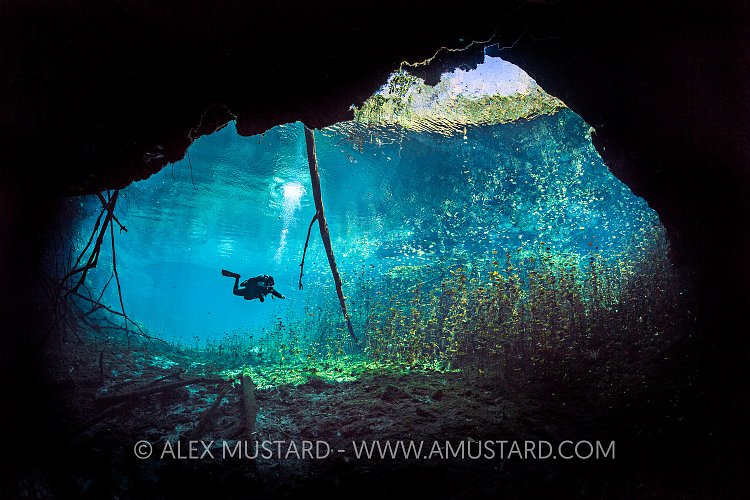 Carwash Cenote. Mexico