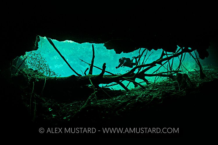 Carwash Cenote Cave. Mexico