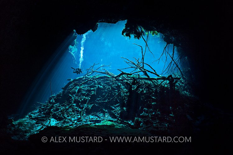 Carwash Cenote Cave. Mexico