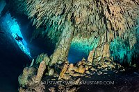 Diver Explores Cenote. Mexico