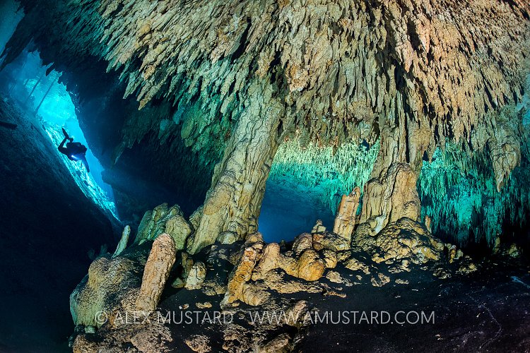 Diver Explores Cenote. Mexico